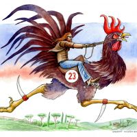 Rooster race